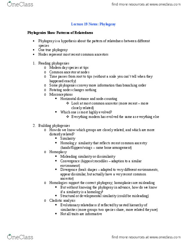 Biology 1001A Lecture Notes - Lecture 6: Convergent Evolution, Autapomorphy, Symplesiomorphy thumbnail