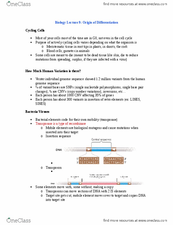 Biology 1001A Lecture Notes - Lecture 2: Reverse Transcriptase, Single-Nucleotide Polymorphism, Retrotransposon thumbnail