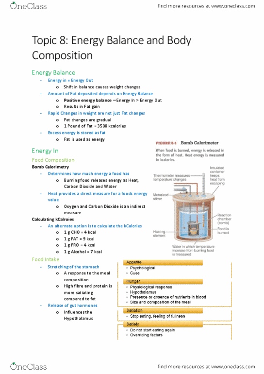 KINESIOL 1F03 Lecture Notes - Lecture 8: Body Mass Index, Basal Metabolic Rate, Body Composition thumbnail