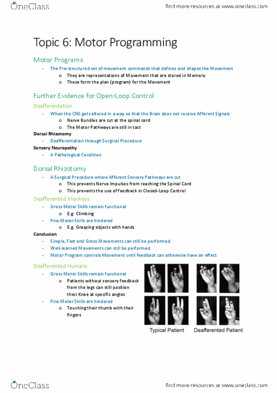 KINESIOL 1E03 Lecture Notes - Lecture 6: Rhizotomy, Peripheral Neuropathy, The Motor thumbnail