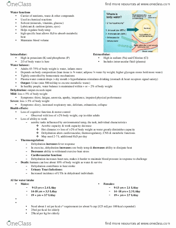 FNN 100 Chapter Notes - Chapter 1-8: Plasma Osmolality, Urinary Tract Infection, Extracellular Fluid thumbnail