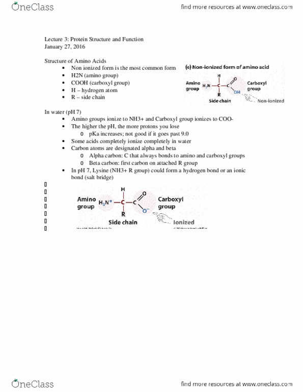 BIOL2000 Lecture Notes - Lecture 3: Prentice Hall, Chemical Polarity, Alpha And Beta Carbon thumbnail
