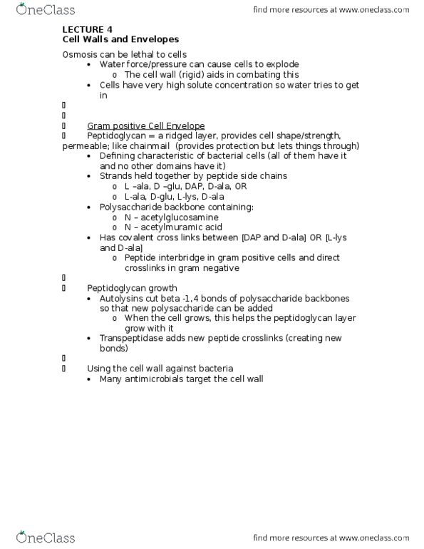 BIOMI 2900 Lecture Notes - Lecture 4: Teichoic Acid, Dd-Transpeptidase, Gram-Negative Bacteria thumbnail