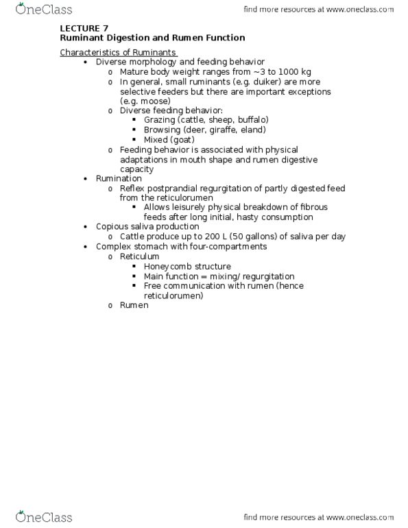 ANSC 2120 Lecture Notes - Lecture 7: Reticulorumen, Rumen, Abomasum thumbnail