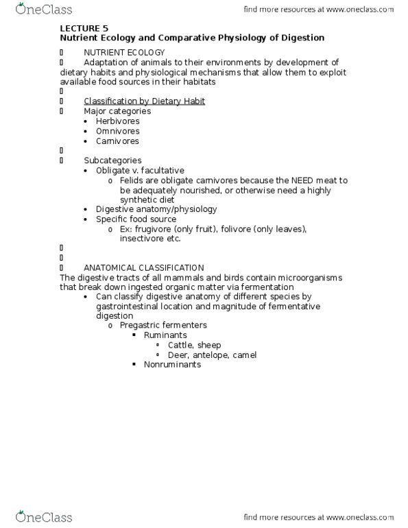 ANSC 2120 Lecture Notes - Lecture 5: Hindgut Fermentation, Carnivore, Hoatzin thumbnail