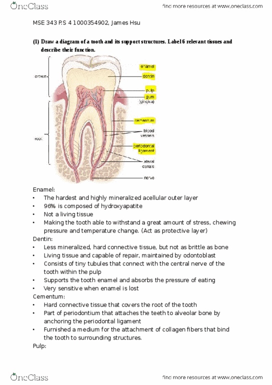 CLA160H1 Lecture Notes - Lecture 2: Periodontal Fiber, Osseointegration, Dental Implant thumbnail