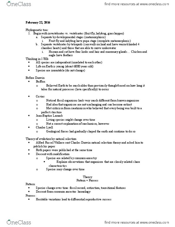 BIOSC 0160 Lecture Notes - Lecture 13: Drosophila Melanogaster, Phylogenetic Tree, Pupa thumbnail