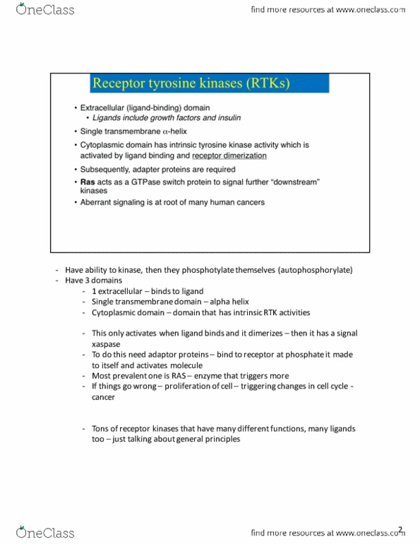 Biology 2382B Lecture Notes - Lecture 9: Rous Sarcoma Virus, Sh2 Domain, Tyrosine Kinase thumbnail