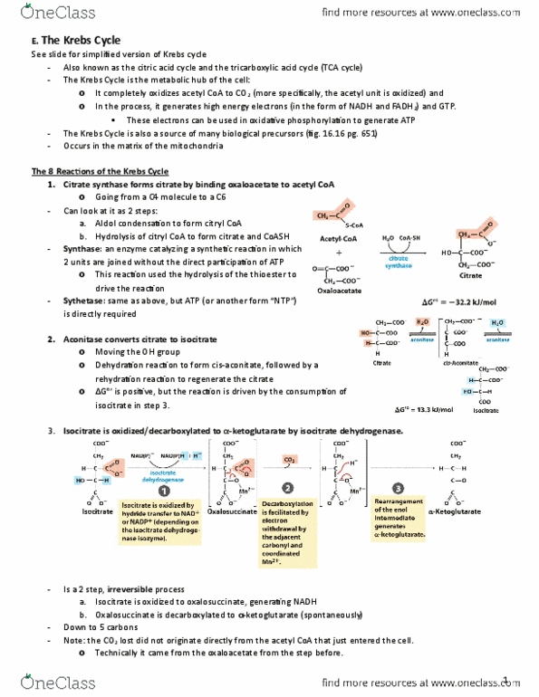 BIOC 202 Lecture Notes - Lecture 5: Isocitrate Dehydrogenase, Succinate Dehydrogenase, Malate Dehydrogenase thumbnail