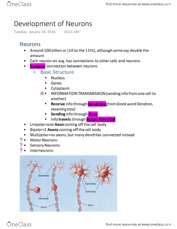 01:830:310 Lecture 2: Development of Neurons thumbnail