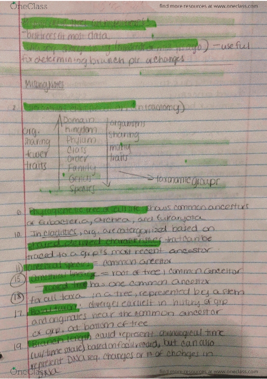 document preview image