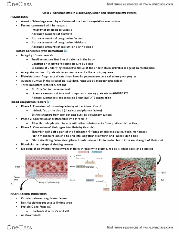 HSS 3305 Lecture Notes - Lecture 9: Von Willebrand Disease, Von Willebrand Factor, Tissue Plasminogen Activator thumbnail