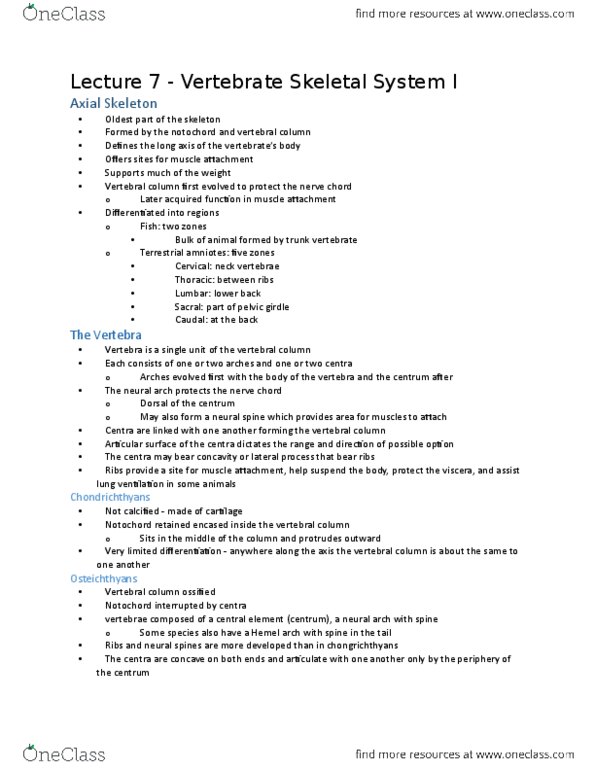 BIOL 2001 Lecture Notes - Lecture 7: Sacrum, Vertebral Column, Cervical Vertebrae thumbnail