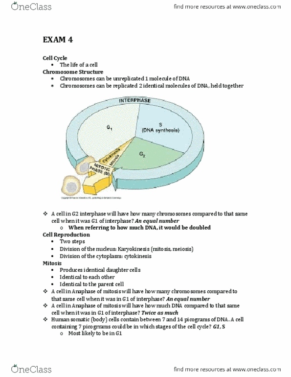 BIOL 1201 Lecture Notes - Lecture 24: Pearson Education, Sister Chromatids, Meiosis thumbnail