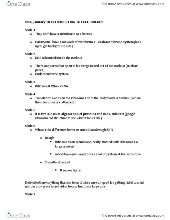 BIO 1140 Lecture Notes - Lecture 4: Ribosomal Rna, Endomembrane System, Nuclear Pore thumbnail