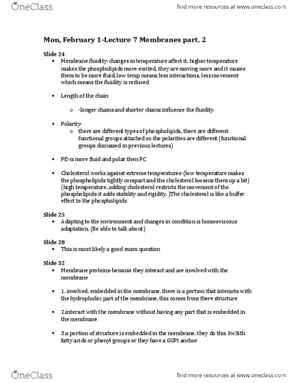 BIO 1140 Lecture Notes - Lecture 6: Phenyl Group, Phospholipid, Cholesterol thumbnail