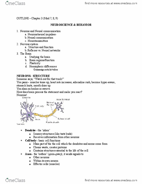 PSYCH 100 Lecture Notes - Lecture 3: Myelin, Schwann Cell, Cracking Joints thumbnail
