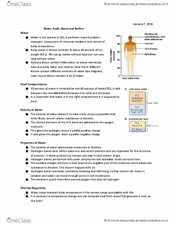 document preview image