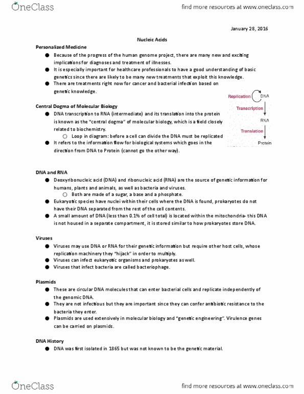 HTHSCI 1LL3 Lecture Notes - Lecture 8: Phosphodiester Bond, Human Genome Project, Adenosine Triphosphate thumbnail