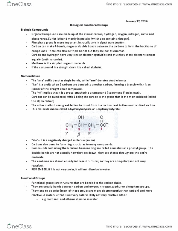 HTHSCI 1LL3 Lecture Notes - Lecture 3: Organic Acid Anhydride, Acetoacetic Acid, Carboxylic Acid thumbnail