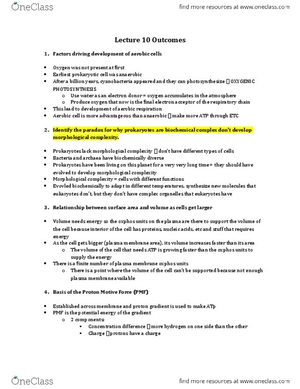 Biology 1002B Lecture Notes - Lecture 10: Photosynthesis, Chemiosmosis, Archaea thumbnail