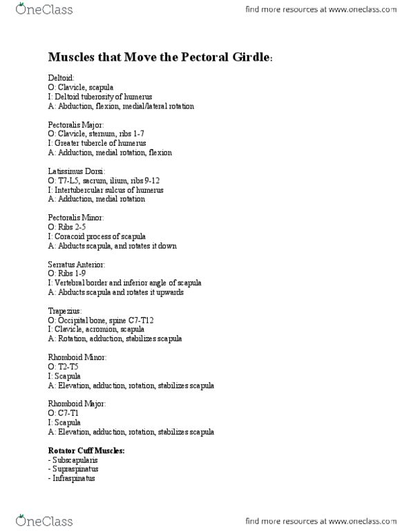 Health Sciences 2330A/B Chapter Notes - Chapter 5: Epicondyle, Latissimus Dorsi Muscle, Palmar Aponeurosis thumbnail