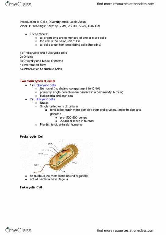 BIO130H1 Lecture Notes - Lecture 1: Nucleoside Triphosphate, Metabolome, Vacuole thumbnail