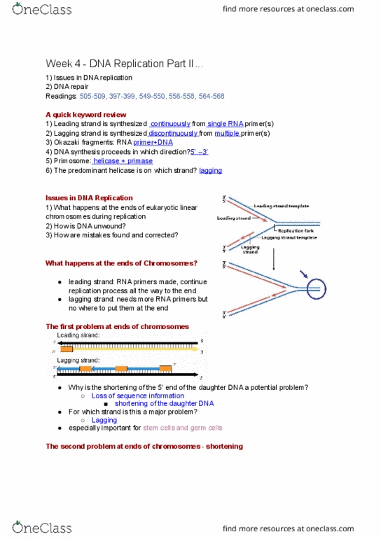 BIO130H1 Lecture 3: Week 4 － DNA Replication Part 2 thumbnail