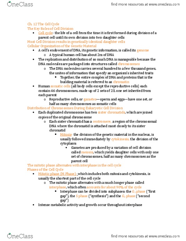 BIOLOGY 1113 Chapter Notes - Chapter 12: Prokaryote, Kinetochore, Chromatin thumbnail