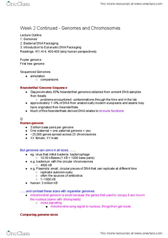 BIO130H1 Lecture Notes - Lecture 3: Topoisomerase, Ribosomal Rna, Retrotransposon thumbnail