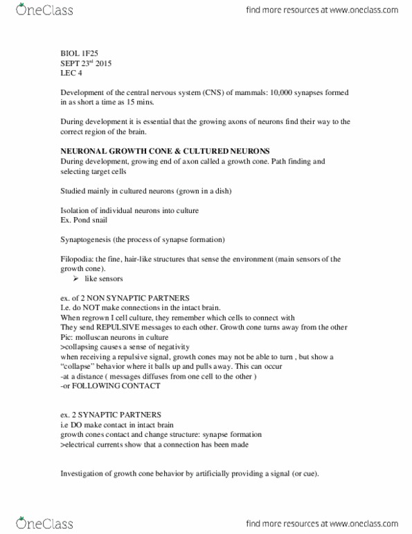 BIOL 1F25 Lecture Notes - Lecture 4: Pipette, Metabolite, Central Nervous System thumbnail