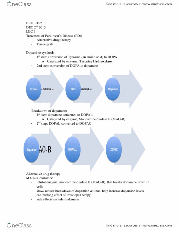 BIOL 1F25 Lecture Notes - Lecture 3: Midbrain, Caudate Nucleus, Anatomical Terms Of Motion thumbnail