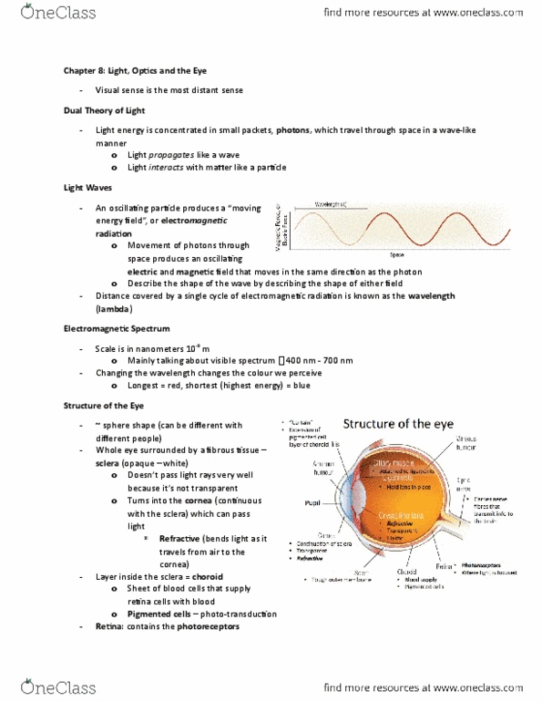 PSYCH 2E03 Chapter Notes - Chapter 8: Presbyopia, Far-Sightedness, Corrective Lens thumbnail