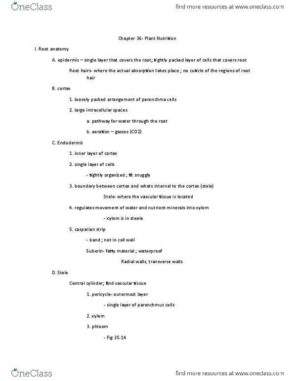 01:119:101 Lecture Notes - Lecture 1: Sieve Tube Element, Stoma, Gas Exchange thumbnail