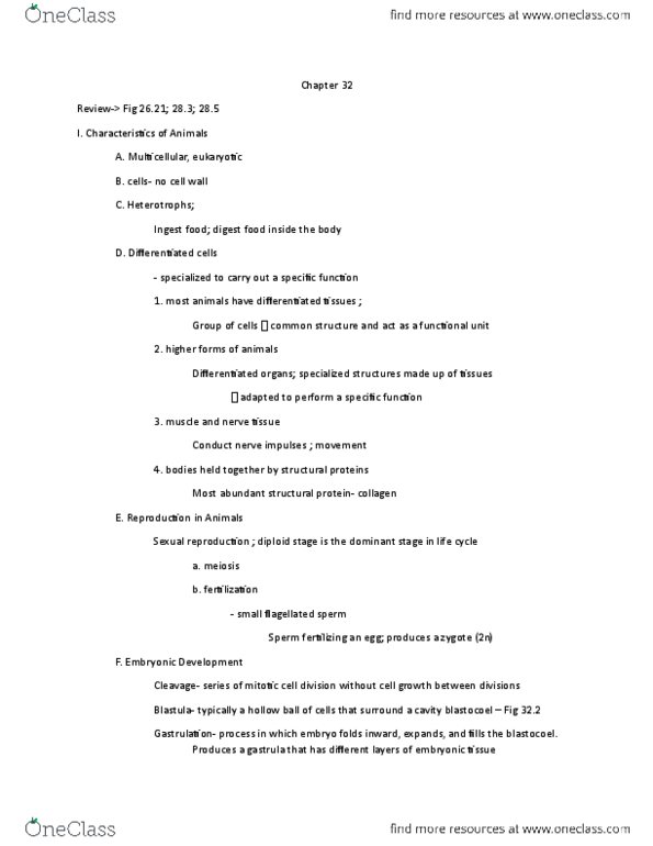 01:119:101 Lecture Notes - Lecture 11: Hydrostatic Skeleton, Ecdysozoa, Lophotrochozoa thumbnail