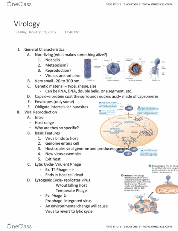 01:119:116 Lecture 1: Virology thumbnail