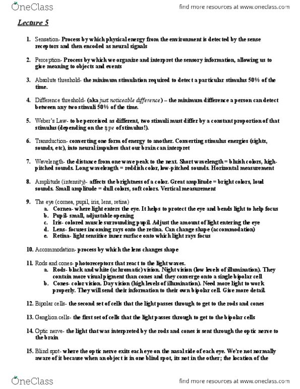 PSYCH 7A Lecture Notes - Lecture 5: Basilar Membrane, Cochlea, Afterimage thumbnail