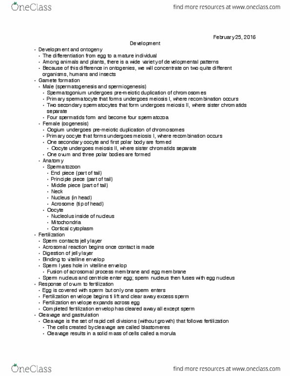 BIOLOGY 101 Lecture Notes - Lecture 14: Body Plan, Endometrium, Homeosis thumbnail