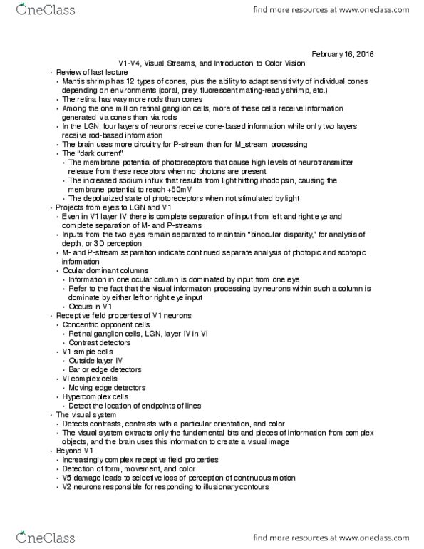 PSYCH 230 Lecture Notes - Lecture 11: Zygosity, Afterimage, Trichromacy thumbnail