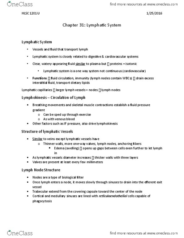 HLSC 1201U Lecture Notes - Lecture 6: Mediastinum, Thymus, Thymosin thumbnail