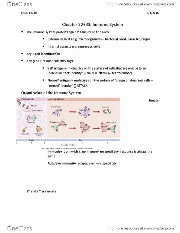 HLSC 1201U Lecture Notes - Lecture 7: Immunoglobulin G, Immunological Synapse, Peptide thumbnail
