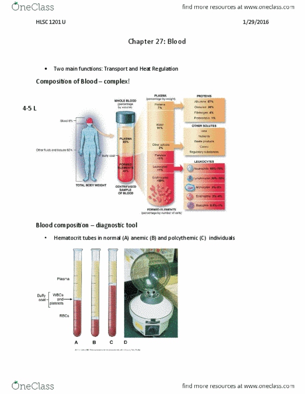 HLSC 1201U Lecture Notes - Lecture 2: Hydrolysis, Homeostasis, Leukocyte Extravasation thumbnail