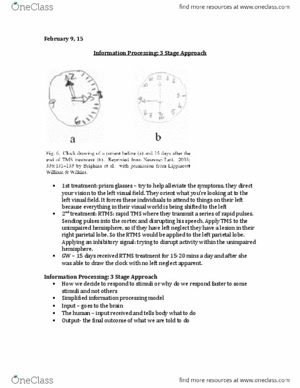 Kinesiology 1080A/B Lecture Notes - Lecture 14: Parietal Lobe, Transcranial Magnetic Stimulation, Hemispatial Neglect thumbnail