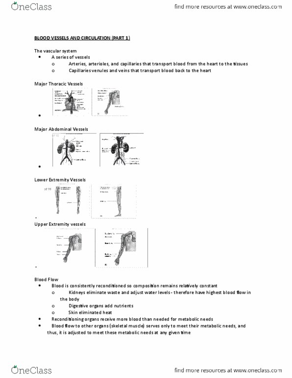 KINE 1P90 Lecture Notes - Lecture 8: Blood Pressure, Hemorheology, Ultimate Tensile Strength thumbnail