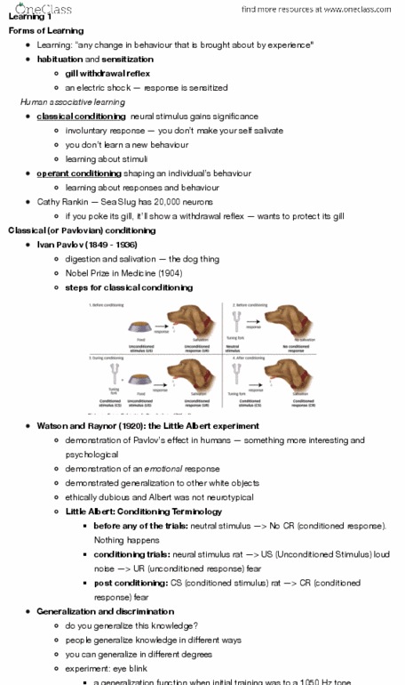 PSYC 101 Lecture Notes - Lecture 18: Little Albert Experiment, Neurotypical, Classical Conditioning thumbnail