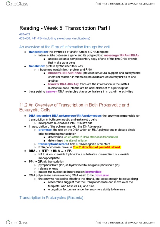 BIO130H1 Chapter Notes - Chapter 5: Transcription Factor Ii D, Exon, Absorbance thumbnail