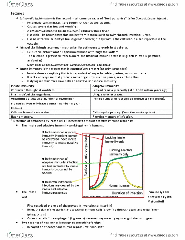 IMM250H1 Lecture Notes - Lecture 3: Innate Immune System, Gram-Negative Bacteria, Cpg Oligodeoxynucleotide thumbnail