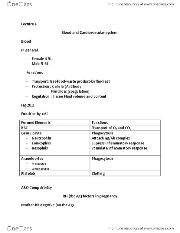 BIOL 2P98 Lecture Notes - Lecture 13: Granulocyte, Phagocytosis, Circulatory System thumbnail