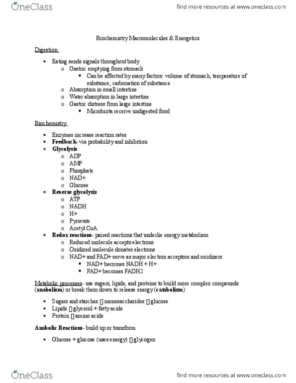 01:377:370 Lecture Notes - Lecture 3: Creatine Kinase, Adenylate Kinase, Pyruvate Dehydrogenase thumbnail