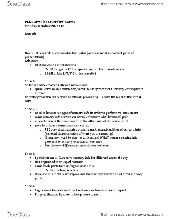 KINE 3P94 Lecture Notes - Lecture 6: Postcentral Gyrus, 5 Fingers, Phantom Limb thumbnail